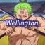 Wellington WL