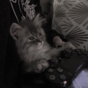 izzy