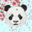 Панда