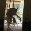 друг