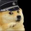 PetMyDoge