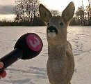 deerinterview Emoji