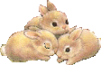 bunnytrio Emoji