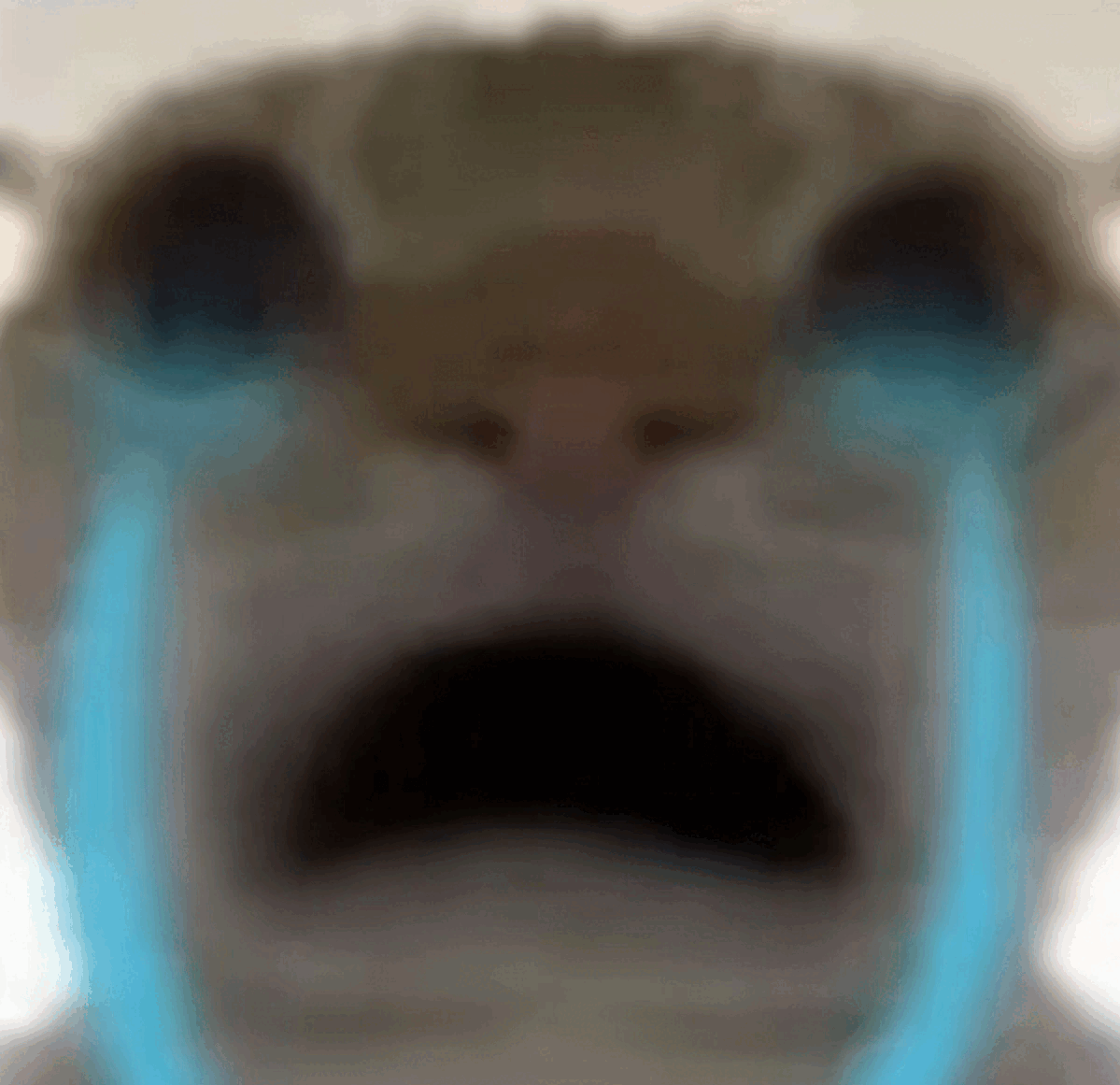Cryingcat Emoji