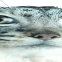 WideManul2 Emoji