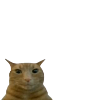 cat_stare_left Emoji