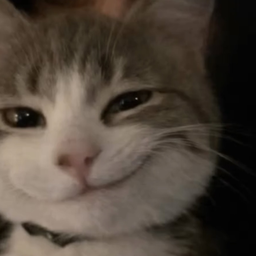 SmirkCat Emoji