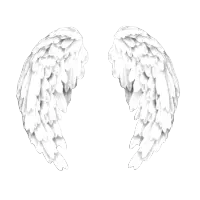 wings Emoji