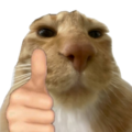 CatGoodJob Emoji