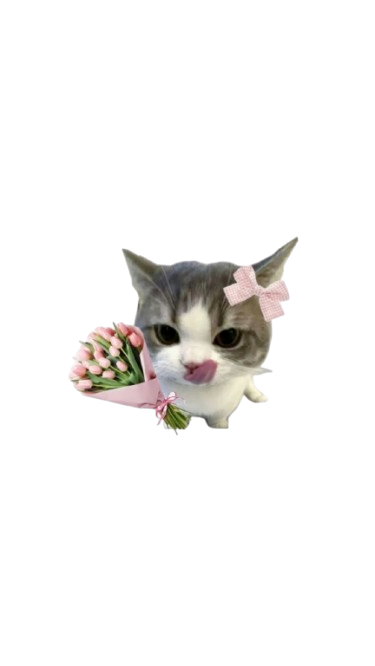 cat_propose Emoji