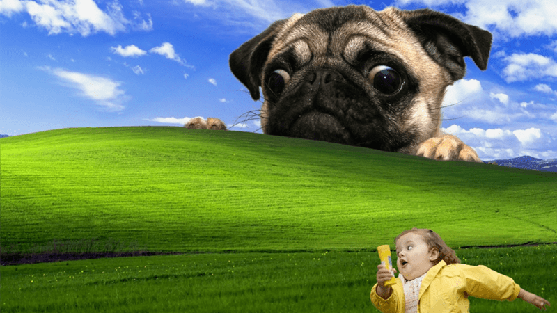 Hungryhungrypug Emoji