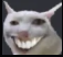 catheh Emoji