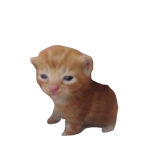cat_smol Emoji