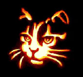 catcarvedpumpkin Emoji