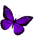 darkpurplesparklybutterfly Emoji