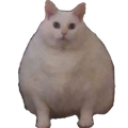 chonk Emoji