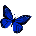 darkbluesparklybutterfly Emoji