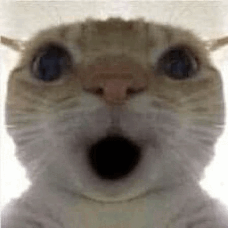 Shockedcat Emoji