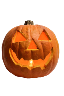 Classicpumpkin Emoji