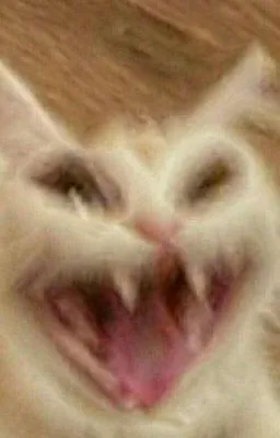 cat_ahhaha Emoji