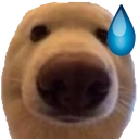 dawg_uhh Discord Emoji
