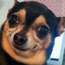 dogwtf Emoji