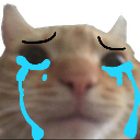 cry Discord Emoji