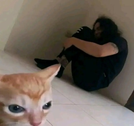 abusive_cat Emoji