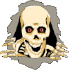 skull Emoji