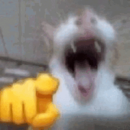 cat Emoji