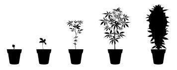 Weed Emoji