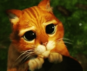 Pussinboots_pout Emoji