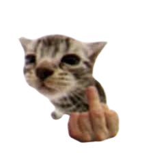 cat_middlefinger Emoji