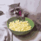 Popcornraccoon Emoji
