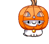 pumpkinkitty Emoji