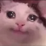 catcrynsmile Emoji