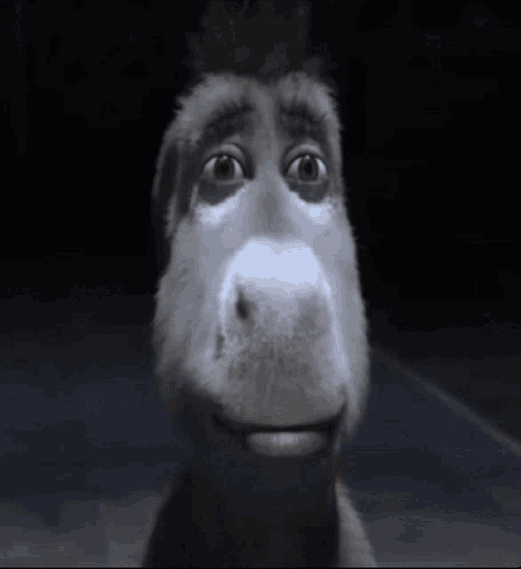 donkey_stare Emoji