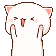 PeachHype Emoji