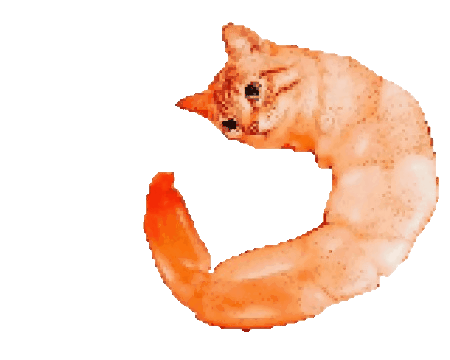ShrimpCat Emoji