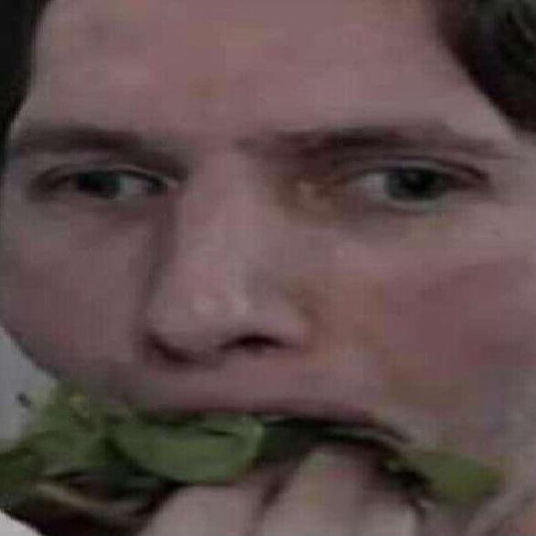 jerma_munch Emoji