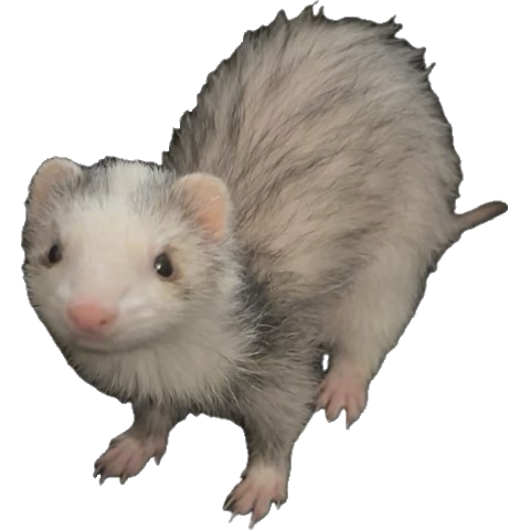 ferret Emoji