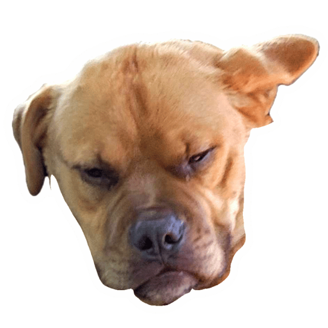Madduke Emoji