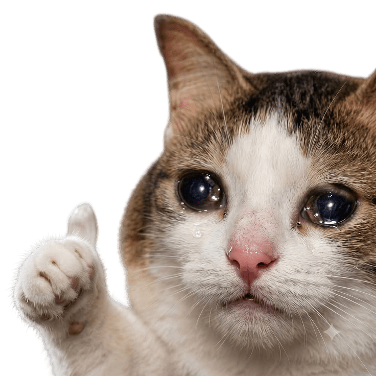 catcried Emoji