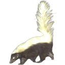 skunk Emoji