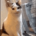 cathello Emoji