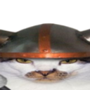 CatViking2 Emoji