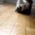 Cat_slide Emoji