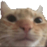 sniff Emoji