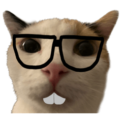 Nerdcat Emoji