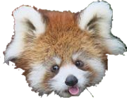 redpandableppng Emoji
